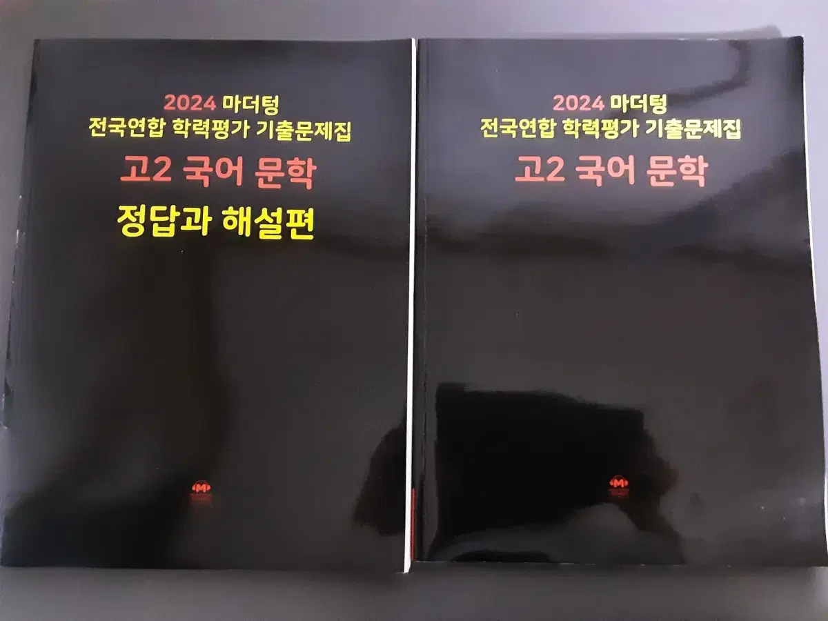 마더텅 고2 문학